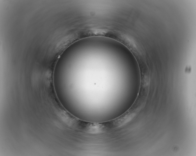 X0000091930321200709121604