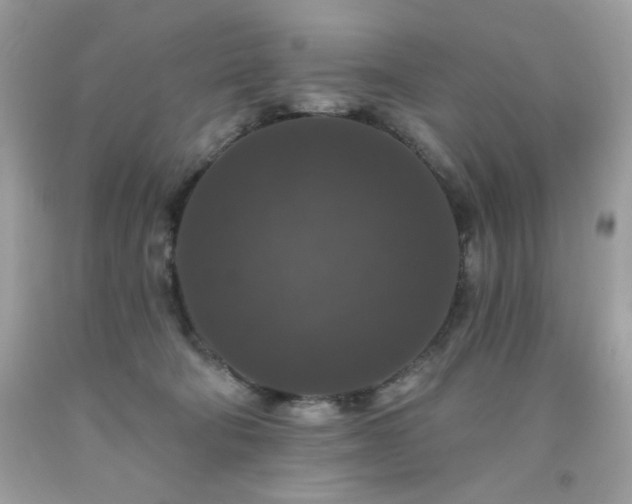 X0000091930322200709121604
