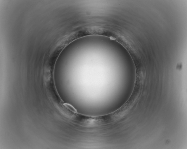 X0000091930323200709121604
