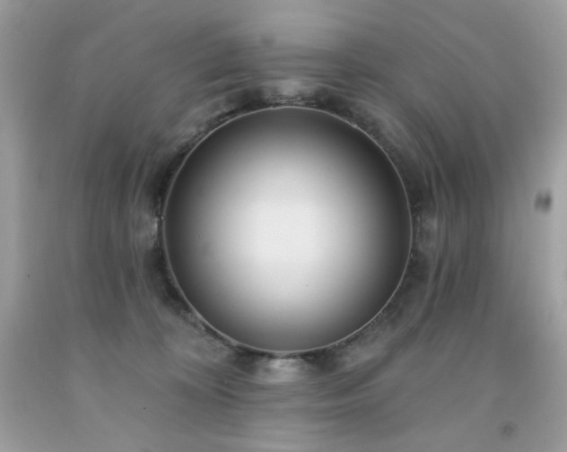 X0000091930324200709121604