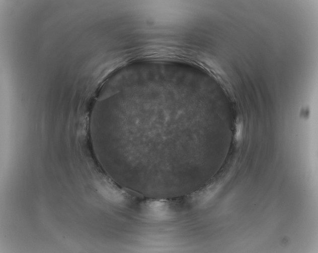 X0000091930325200709121604