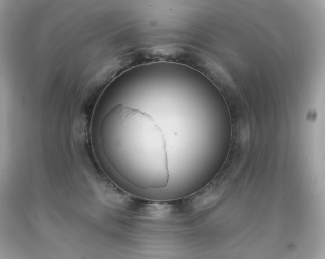 X0000091930328200709121604