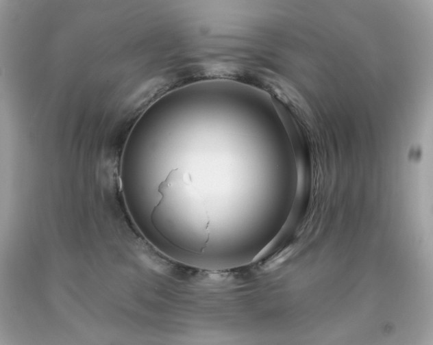 X0000091930329200709121604