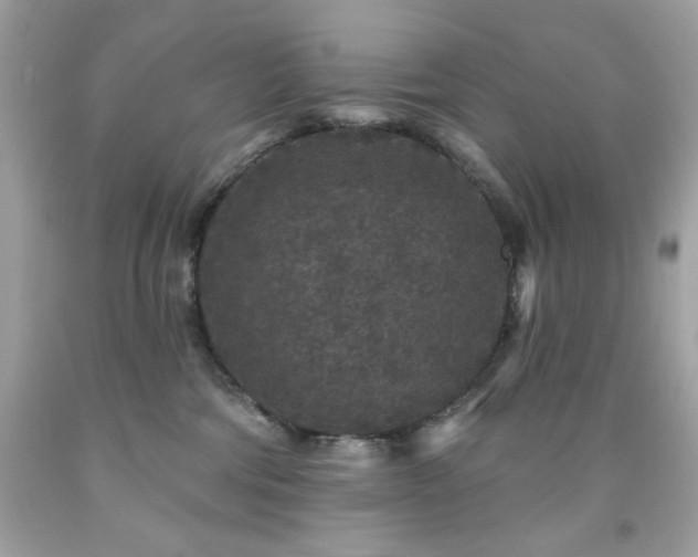 X0000091930330200709121604