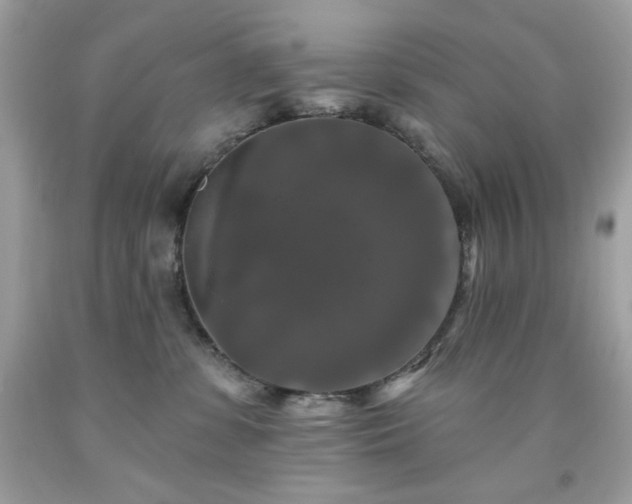 X0000091930331200709121604