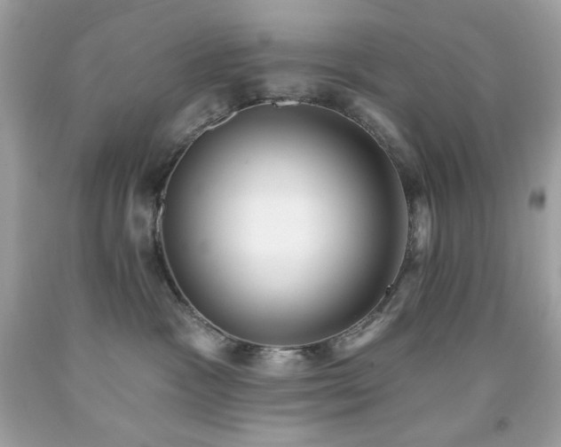 X0000091930333200709121603
