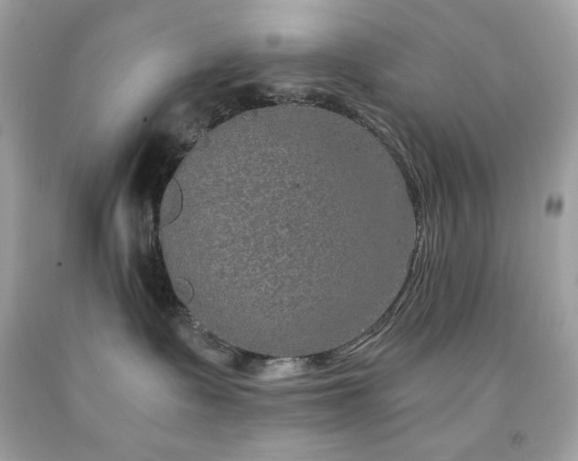 X0000091930335200709121603