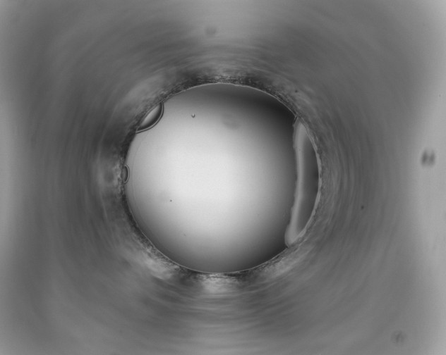 X0000091930336200709121603