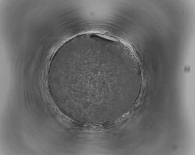 X0000091930337200709121603