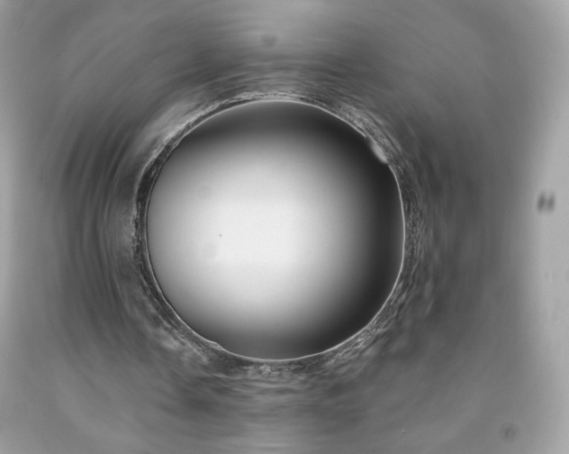 X0000091930338200709121603