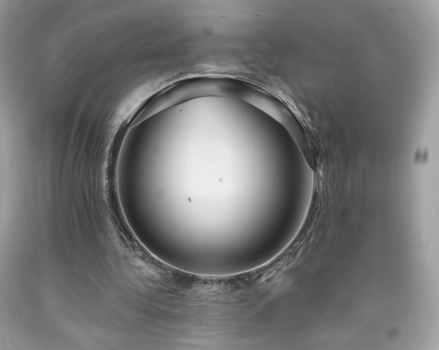 X0000091930340200709121603