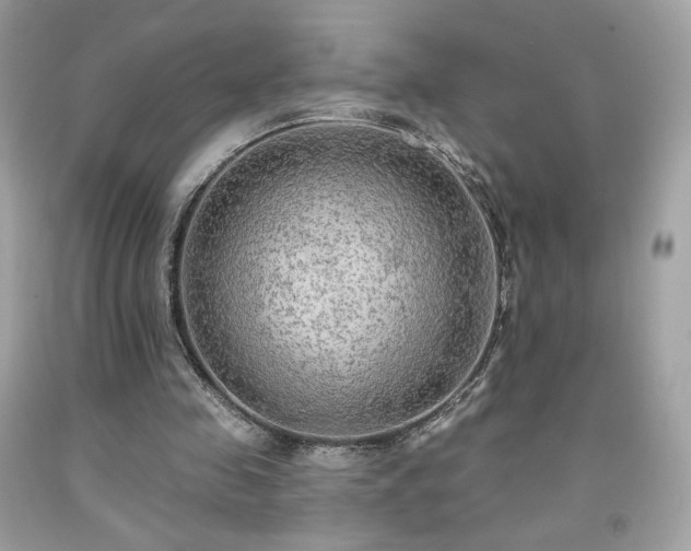 X0000091930341200709121603