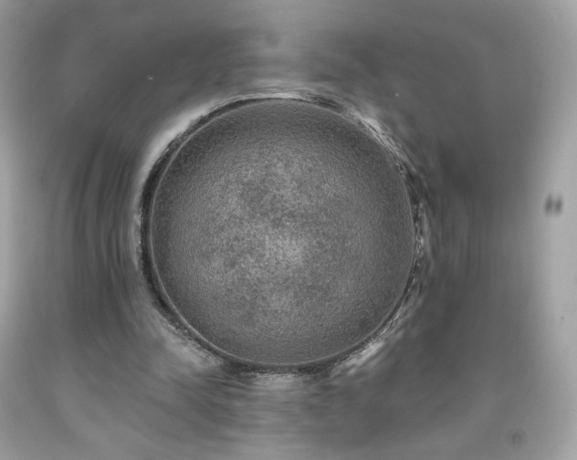 X0000091930342200709121603