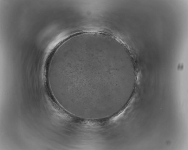 X0000091930343200709121603