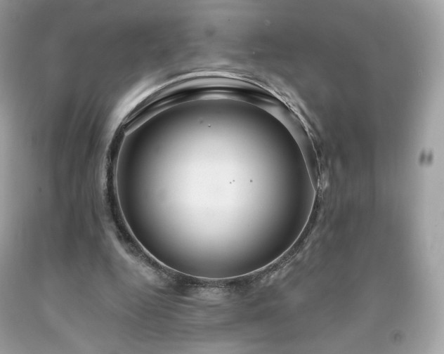 X0000091930344200709121603