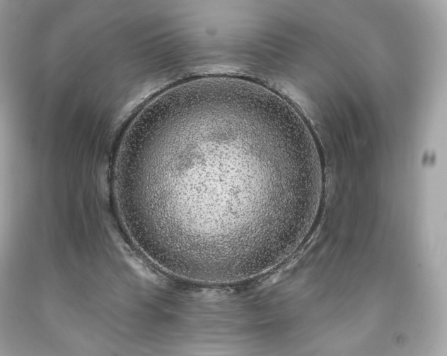 X0000091930345200709121603