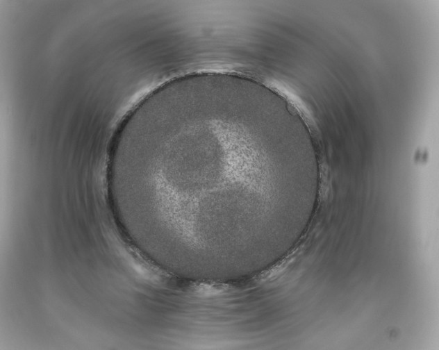 X0000091930346200709121603