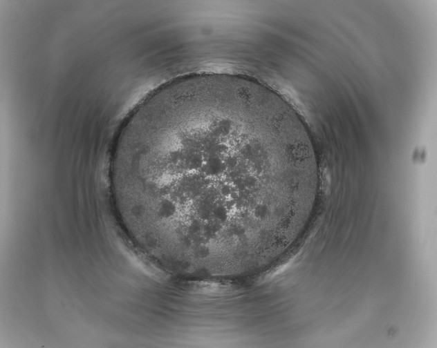 X0000091930347200709121603