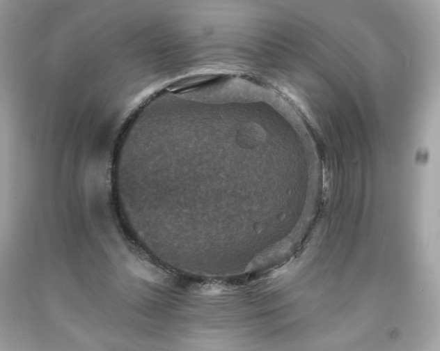 X0000091930348200709121603