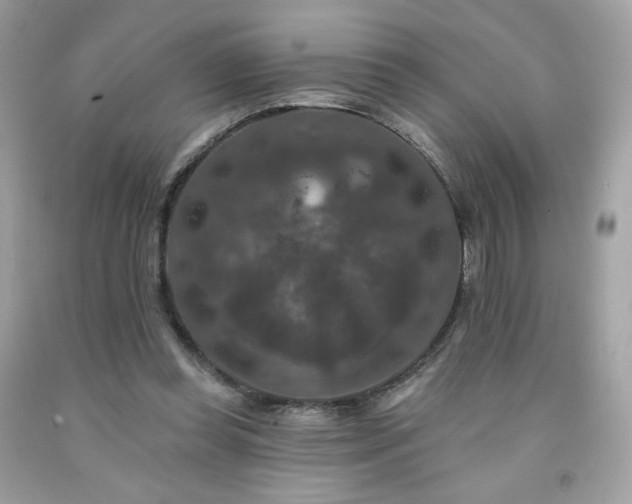 X0000091930349200709121603