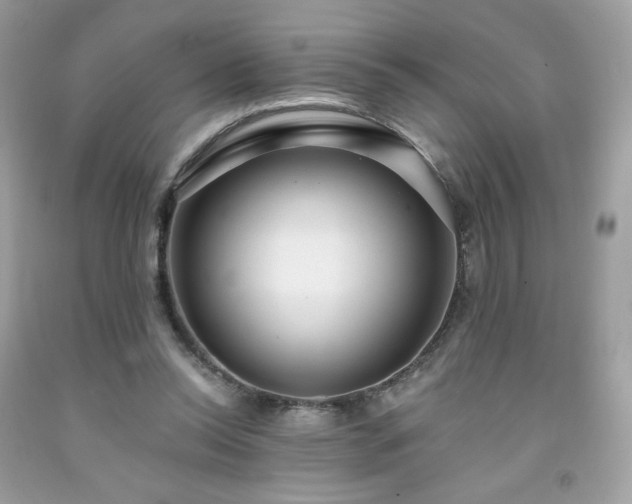 X0000091930350200709121603