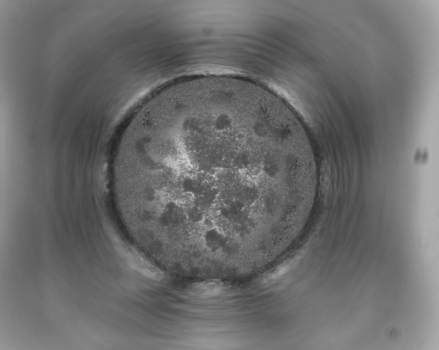 X0000091930351200709121603