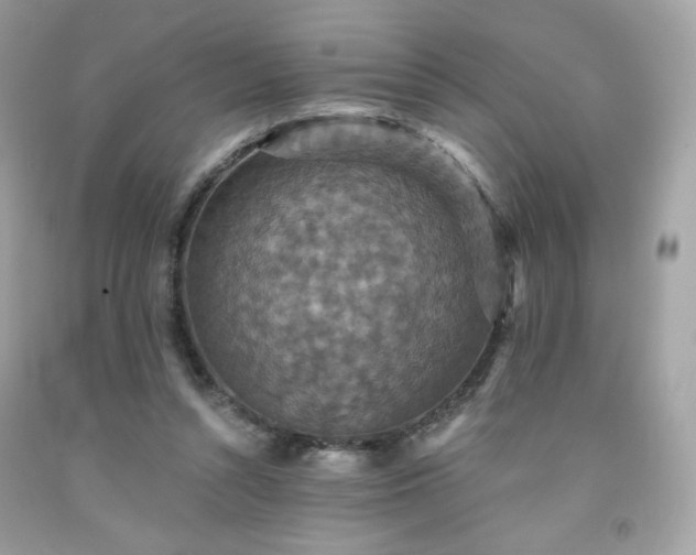 X0000091930352200709121603