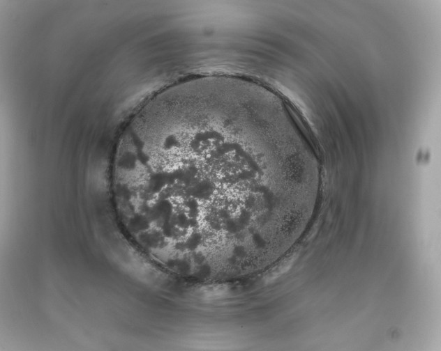 X0000091930353200709121603