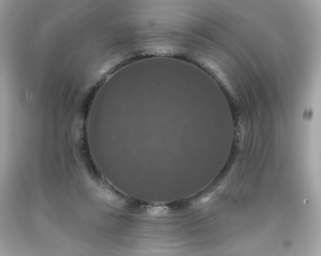 X0000091930355200709121603