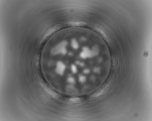 X0000091930357200709121603