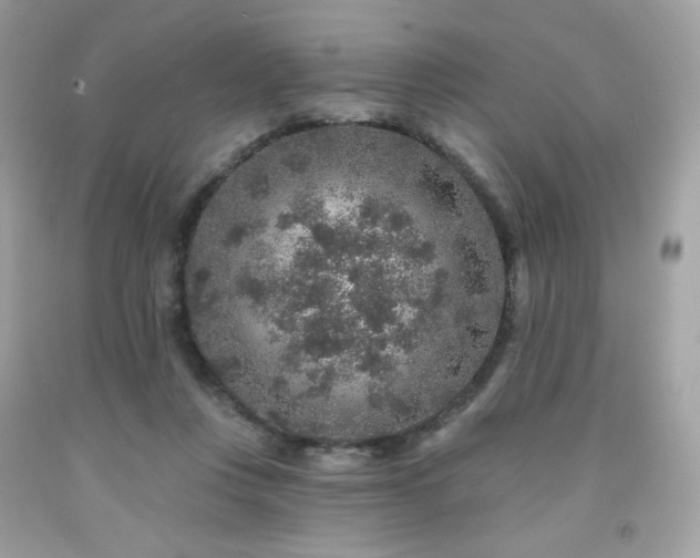 X0000091930359200709121603