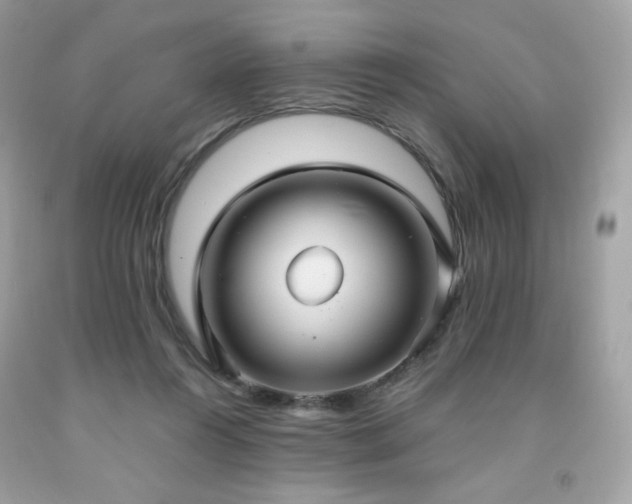X0000091930360200709121603