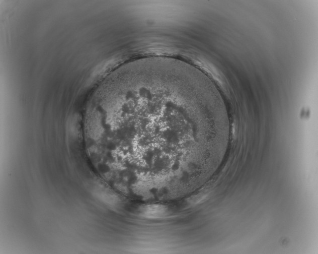 X0000091930361200709121603