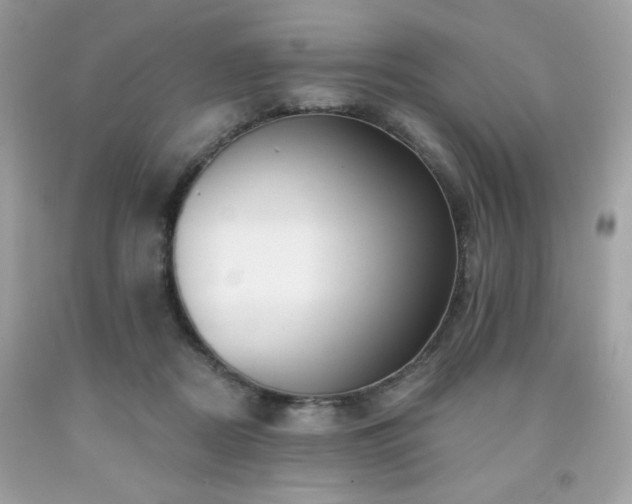 X0000091930362200709121603