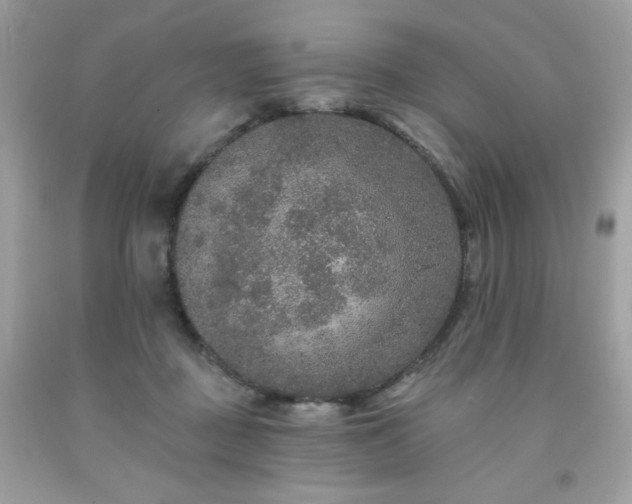 X0000091930363200709121603