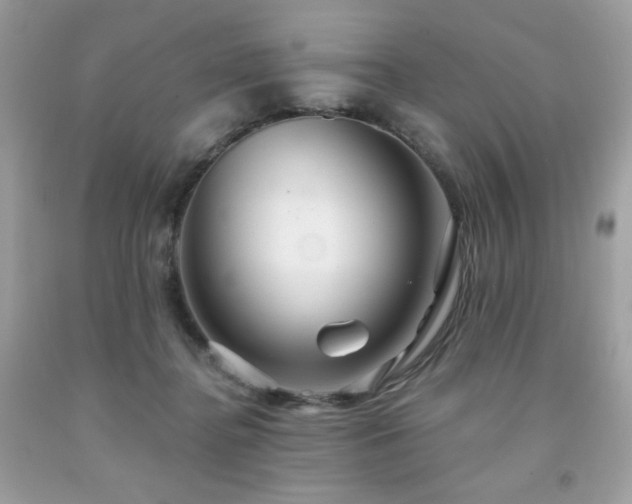 X0000091930364200709121603
