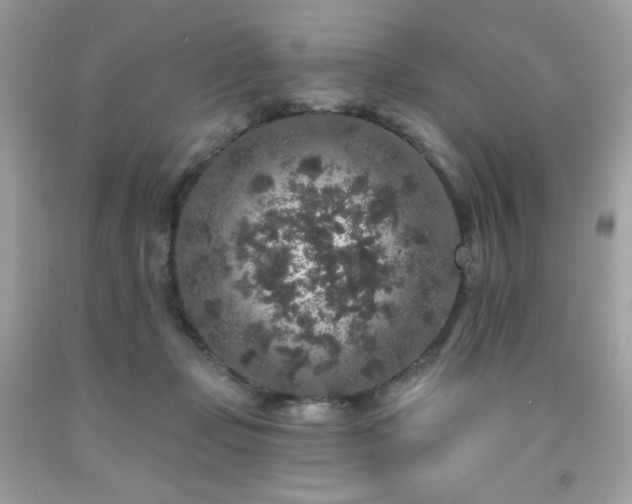 X0000091930365200709121603