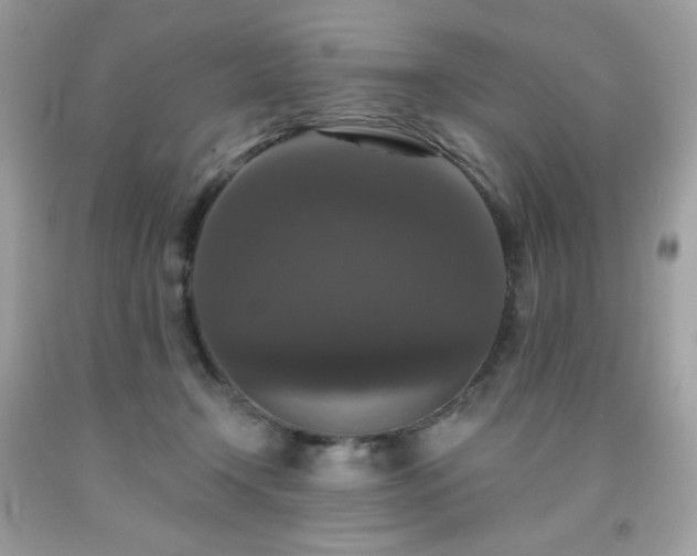 X0000091930366200709121603
