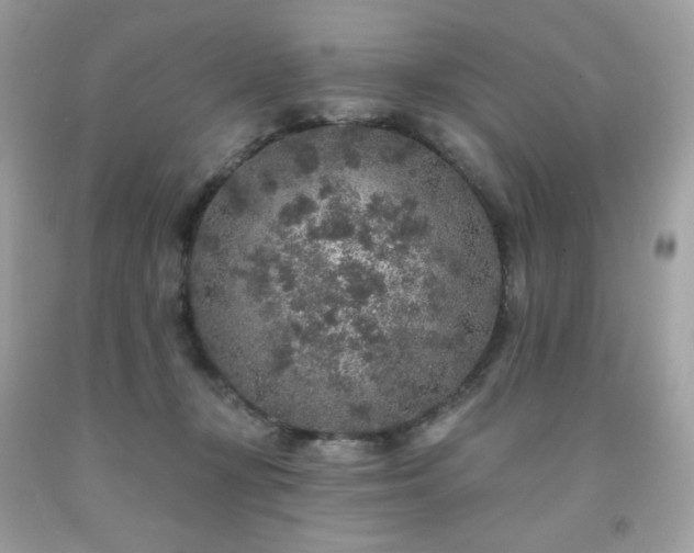 X0000091930367200709121603