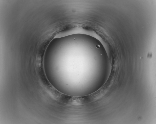 X0000091930368200709121603