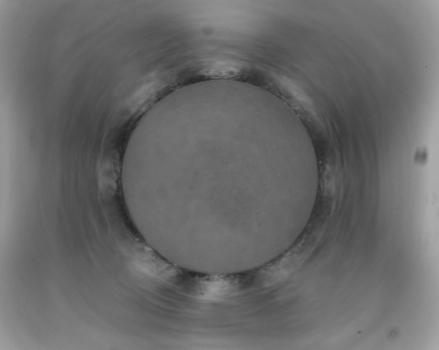 X0000091930370200709121603