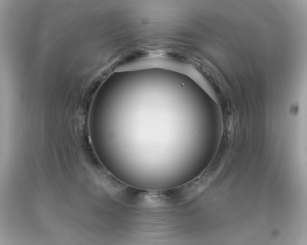 X0000091930372200709121603