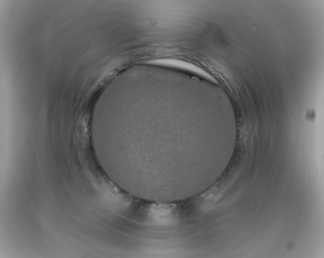 X0000091930373200709121603