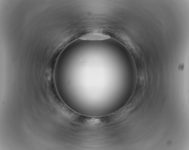 X0000091930374200709121603