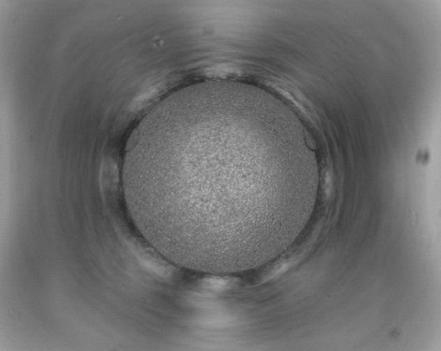 X0000091930375200709121603