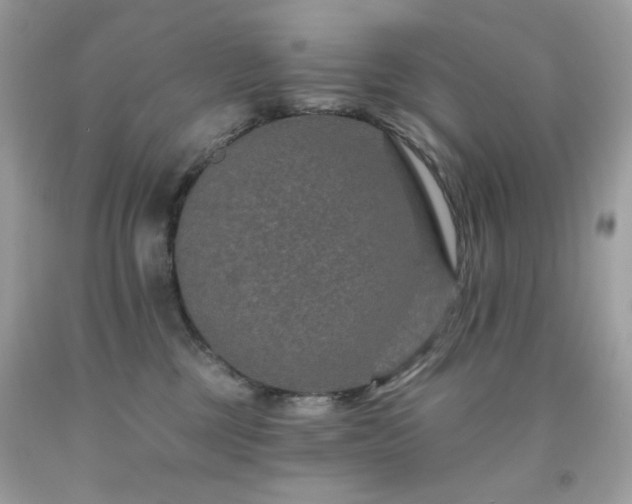 X0000091930377200709121603