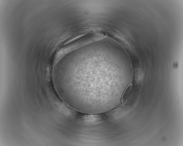X0000091930378200709121603