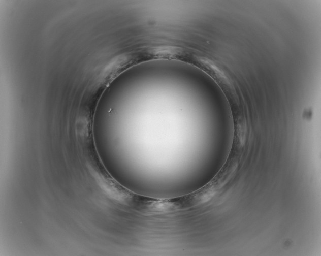 X0000091930379200709121603