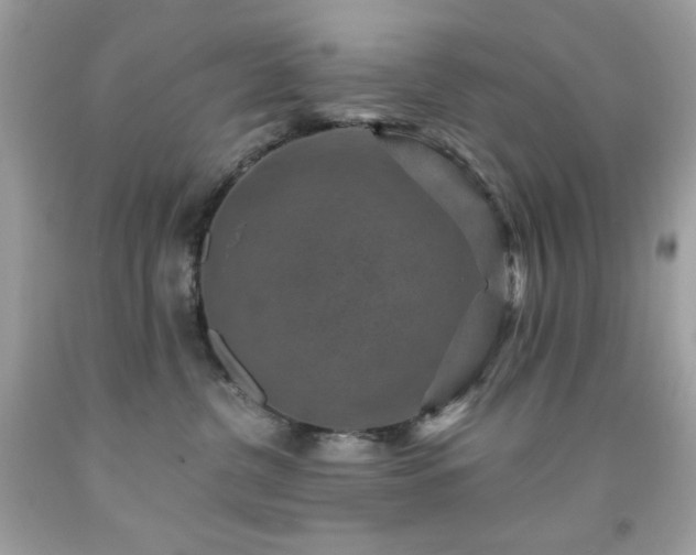X0000091930380200709121603