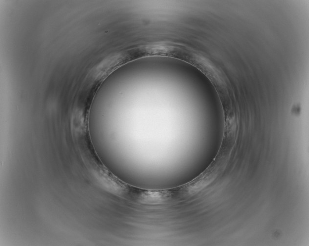 X0000091930381200709121603